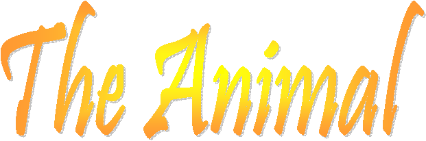 The Animal